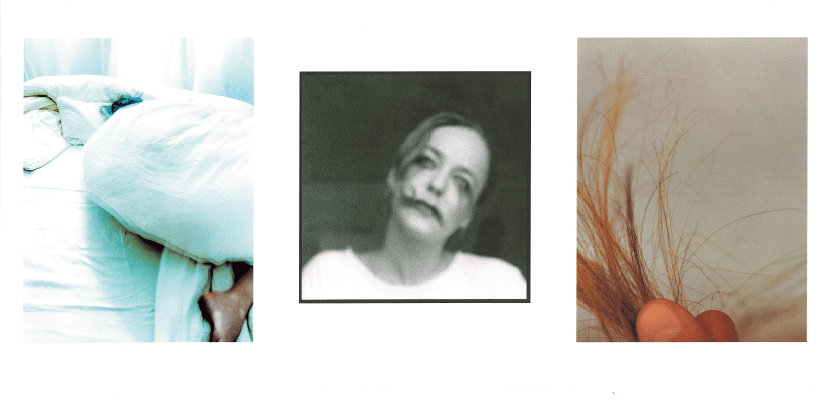 Auf der Abbildung sind drei Fotografien zu sehen. Alle Fotografien sind leicht unscharf.